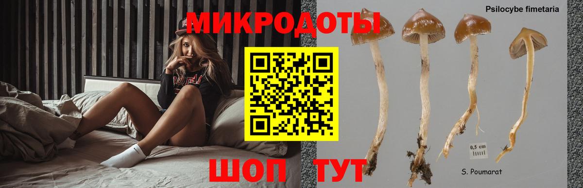 Псилоцибиновые грибы Magic Shrooms Муравленко