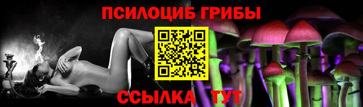 купить наркотики цена  Вход с VPN  Муравленко  Псилоцибиновые грибы Magic Shrooms 